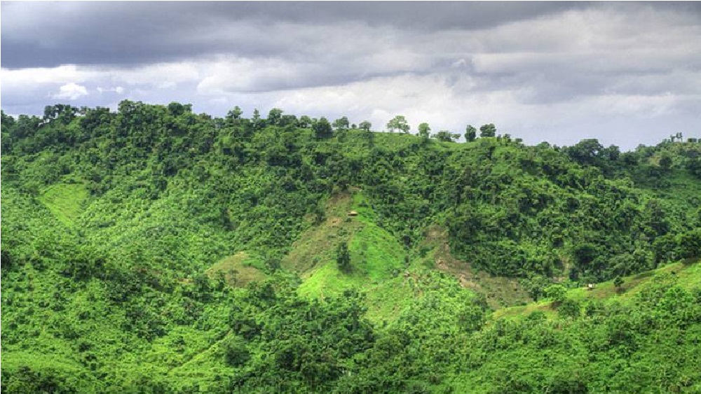 ফাইল ছবি